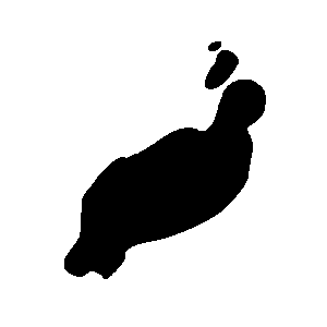 Lanzarote