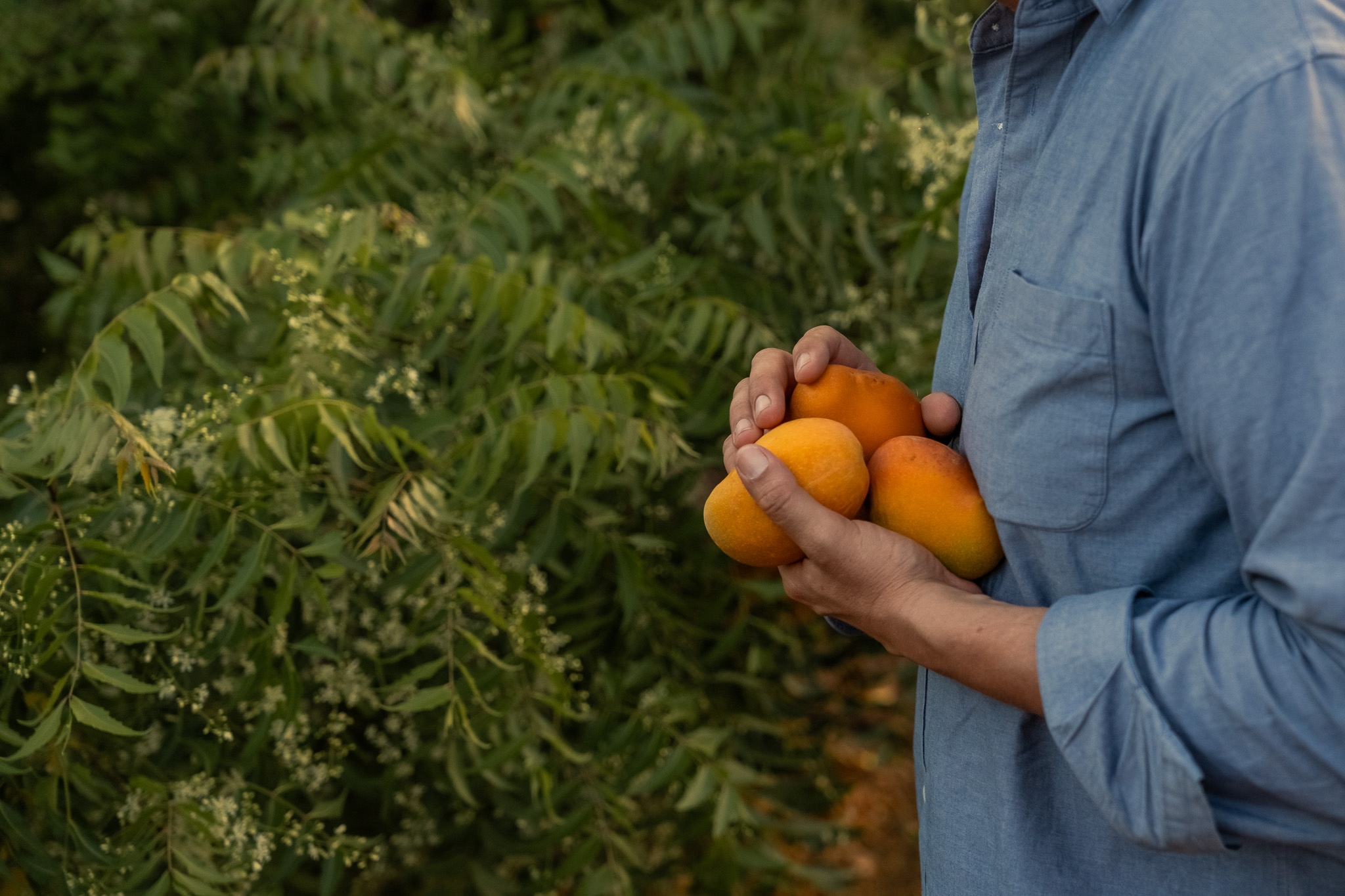 TASTE THE ORIGINS 11