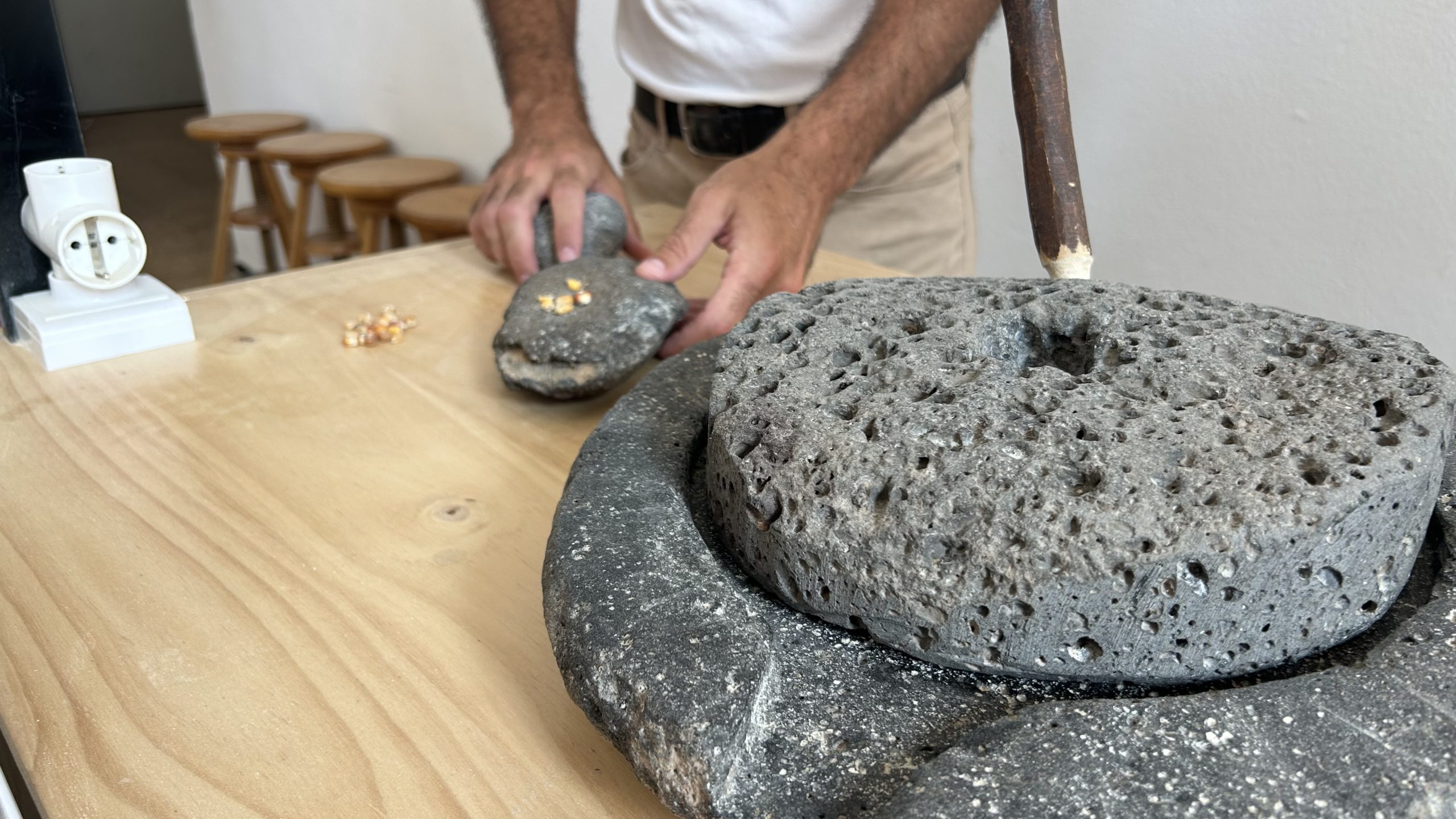 TASTE THE ORIGINS 16