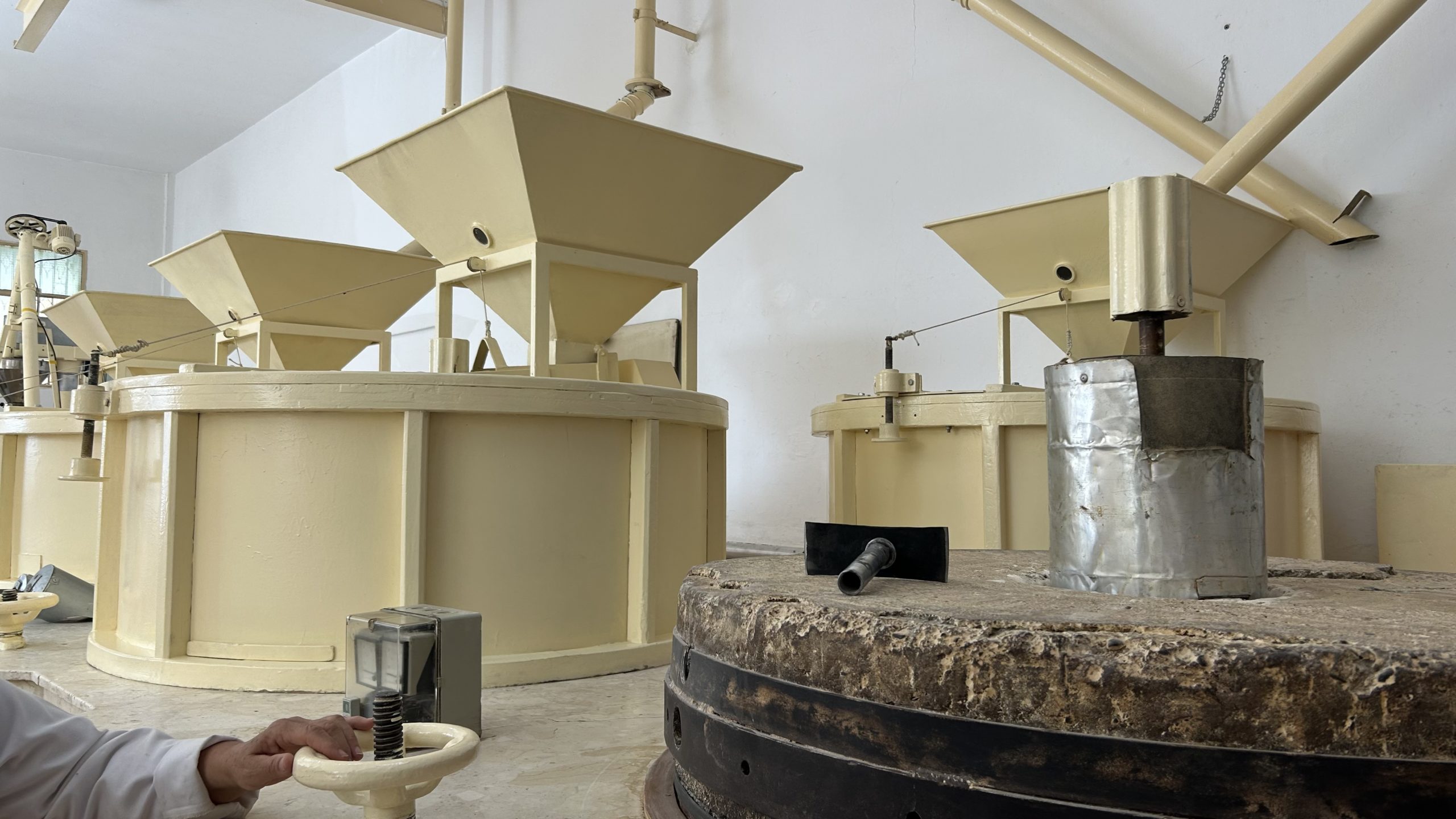 TASTE THE ORIGINS 17